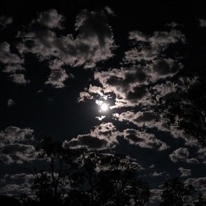 Meet your Posher, Ben